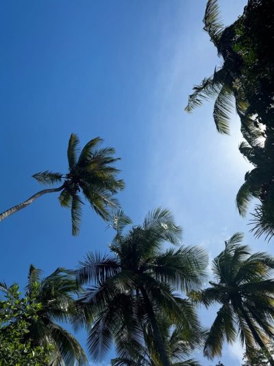 Zanzibar White Sand Luxury Villas & Spa - Relais & Chateaux — фото погоды в августе (2025-08-25)