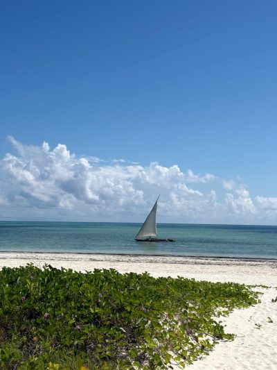 Zanzibar White Sand Luxury Villas & Spa - Relais & Chateaux — фото погоды в ноябре (2025-11-27)