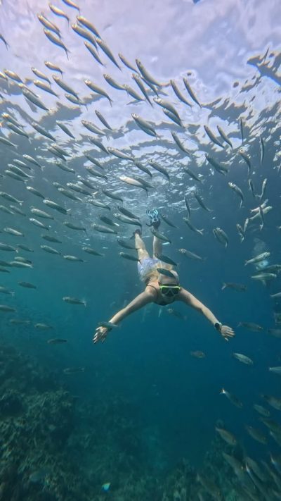 Sardines Run, Moalboal, Cebu в июле — фото погоды (2026-07-03)