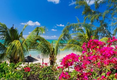 Trou Aux Biches Beach в декабре — фото погоды (2025-12-01)