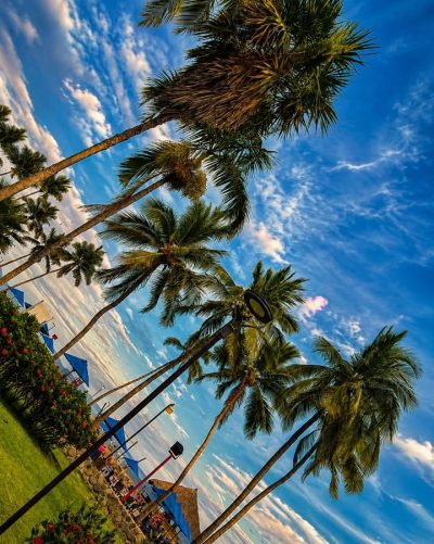Royal DeCameron All Inclusive Hotels & Resorts — фото погоды в мае (2026-05-11)