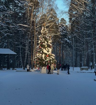 Парк Берендеевка, г. Кострома в январе — фото погоды (2026-01-06)