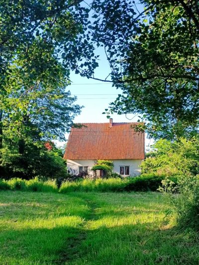 Пос. Рыбачий, Куршская Коса в июне — фото погоды (2026-06-13)
