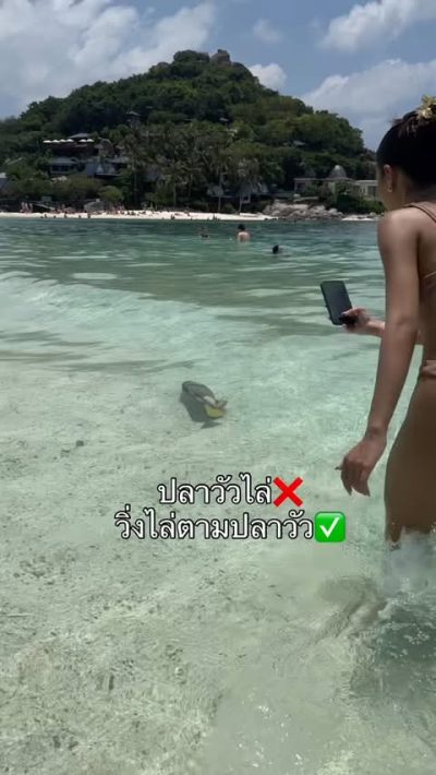 เกาะนางยวน Koh Nang Yuan, Surathani в апреле — фото погоды (2026-04-28)