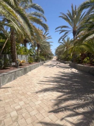 Dunas de Maspalomas — фото погоды в июне (2026-06-29)