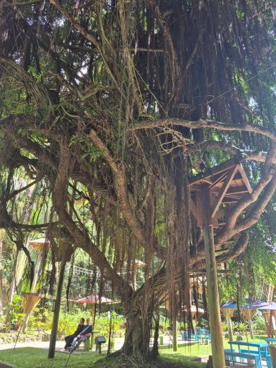 Harrison's Caves Barbados в феврале — фото погоды (2026-02-04)