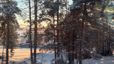 Участок Батамай Парка  Ленские Столбы в феврале — фото погоды (2026-02-03)