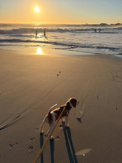 Camps Bay Beach в мае — фото погоды (2026-05-17)