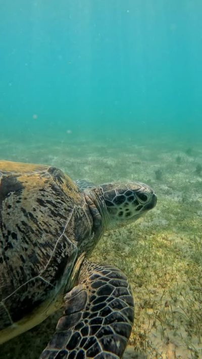 Nosy Sakatia, Nosy Be - Madagasacar в декабре — фото погоды (2025-12-28)