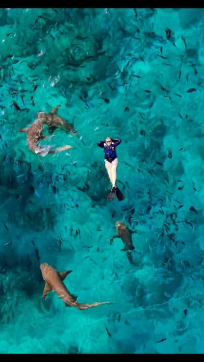 Baa Atoll, Maldives в апреле — фото погоды (2026-04-14)