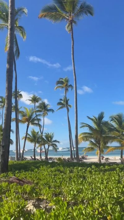 Punta Cana - Barcelo Bavaro Beach в мае — фото погоды (2026-05-06)