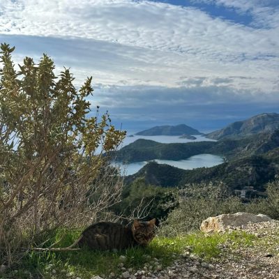 Montana Tepesı в январе — фото погоды (2026-01-04)