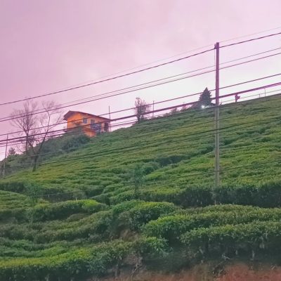 Nuwari-Eliya в сентябре — фото погоды (2025-09-03)