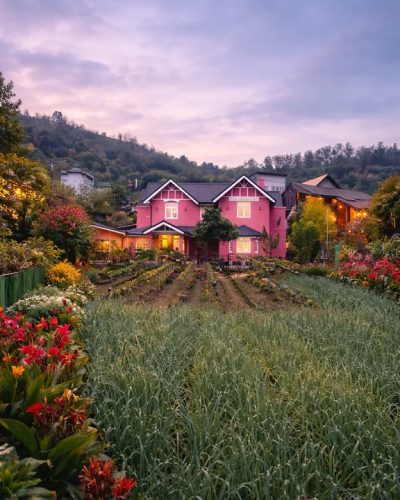 Nuwari-Eliya в феврале — фото погоды (2026-02-18)