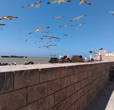 essasouira в мае — фото погоды (2024-05-06)