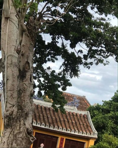 Hội An, Quảng Nam, Việt Nam в январе — фото погоды (2026-01-09)