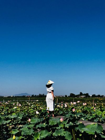 Hội An, Quảng Nam, Việt Nam в июле — фото погоды (2026-07-19)