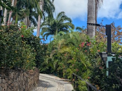 Cocos Hotel, Antigua — фото погоды в мае (2026-05-09)