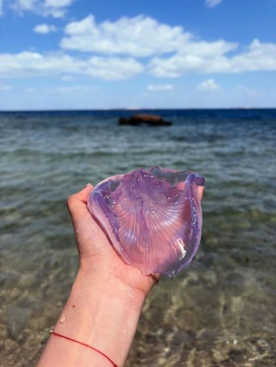 Hurghada Red Sea в марте — фото погоды (2026-03-26)