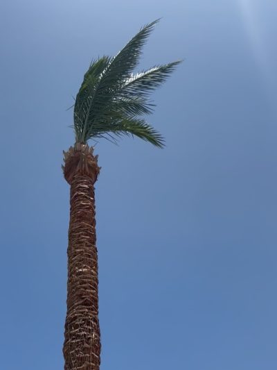 Hurghada Red Sea в июне — фото погоды (2026-06-28)