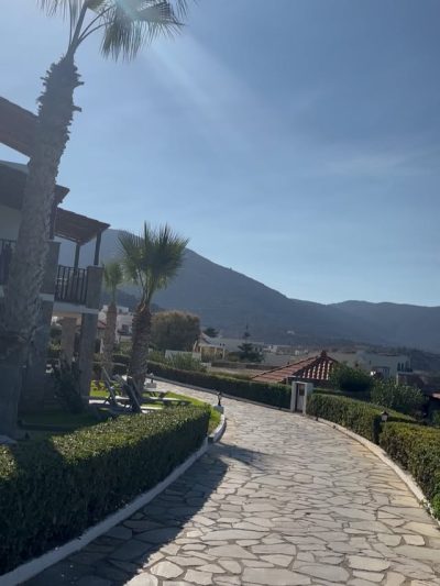 Alexander Beach Hotel & Village Resort в январе — фото погоды (2026-01-11)