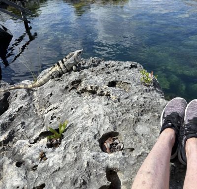 Yal-Ku Lagoon в феврале — фото погоды (2026-02-15)