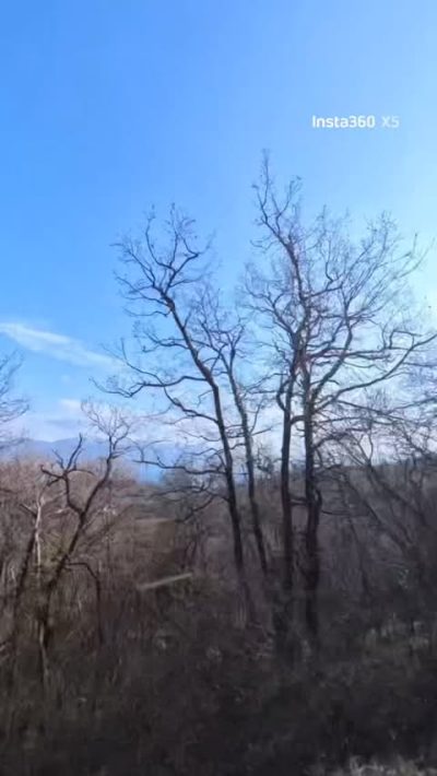 Istria County, Croatia в феврале — фото погоды (2026-02-01)