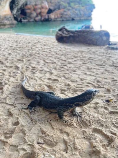 Phranang Cave Beach, Krabi, Thailand в мае — фото погоды (2026-05-07)