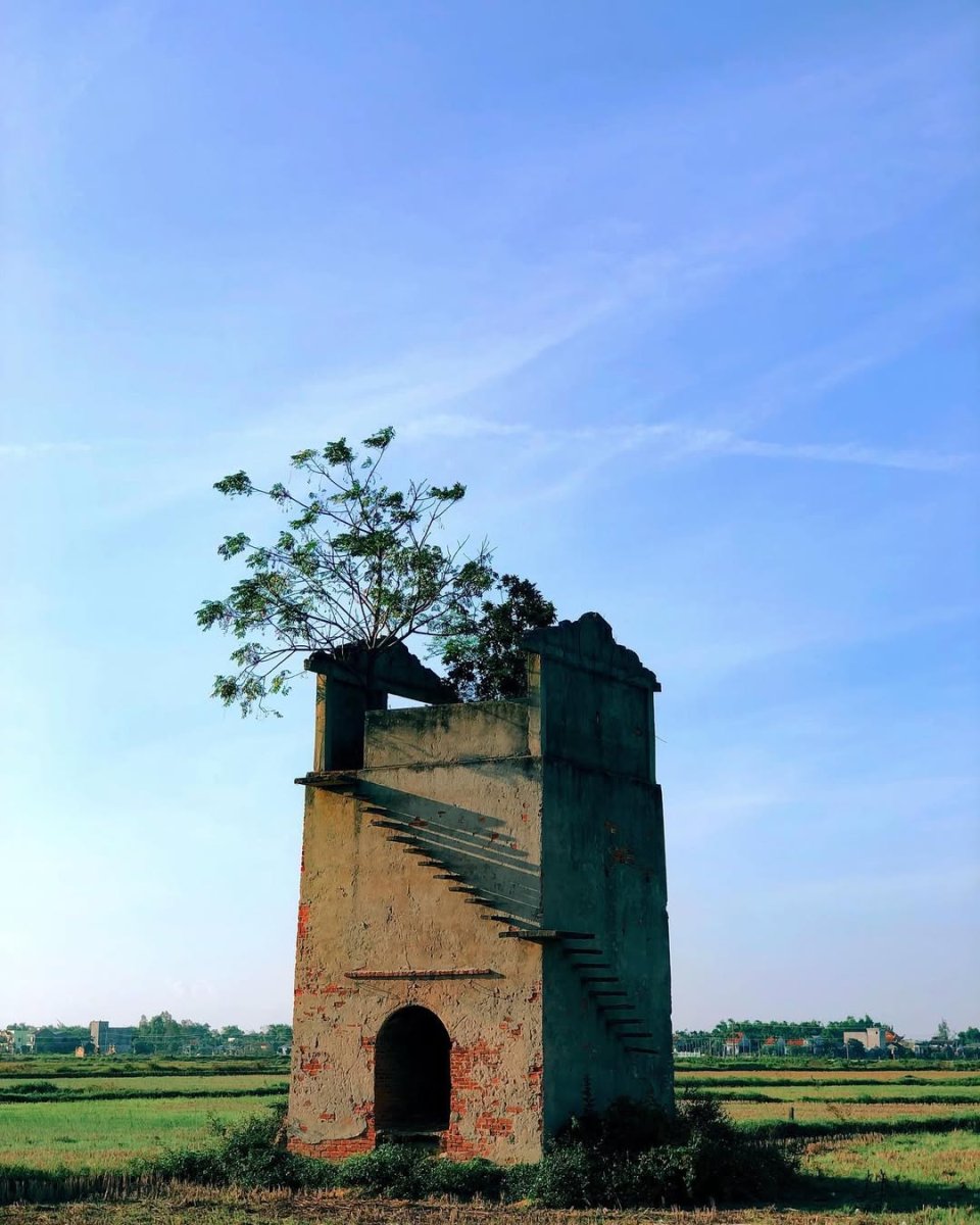 Погода в Hoi An