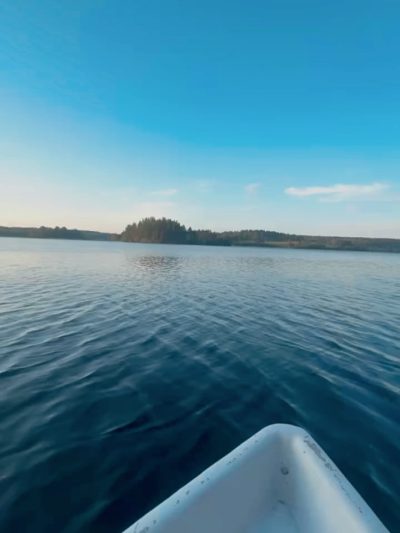 Forrest Lodge Karelia в августе — фото погоды (2025-08-20)