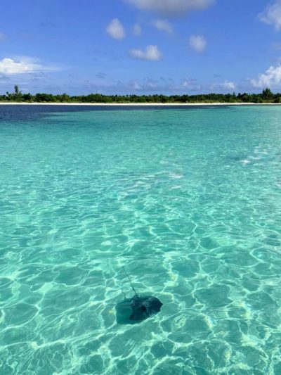 El Cielo Cozumel в марте — фото погоды (2026-03-25)