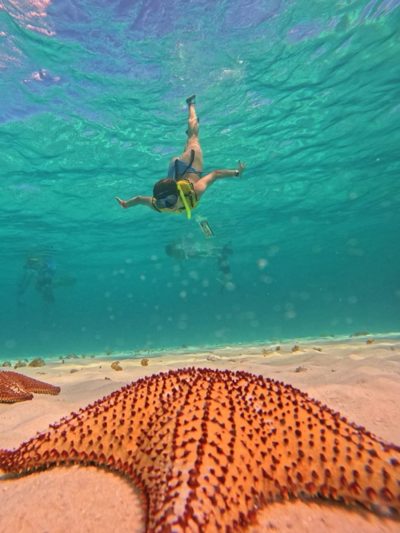 El Cielo Cozumel в апреле — фото погоды (2026-04-02)