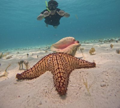 El Cielo Cozumel в апреле — фото погоды (2026-04-27)