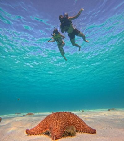 El Cielo Cozumel в мае — фото погоды (2026-05-26)