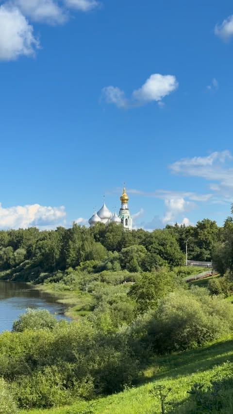 Погода в Вологодская область