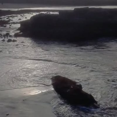 Medano Beach в мае — фото погоды (2026-05-17)
