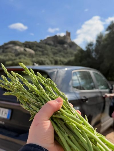 Castello di Pedres в феврале — фото погоды (2026-02-28)