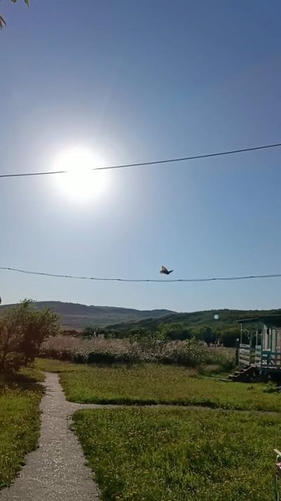 Бухта Пограничная о. Попова в апреле — фото погоды (2026-04-09)