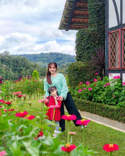 The Lakehouse, Cameron Highlands в декабре — фото погоды (2025-12-26)