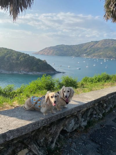 Laem Phrom Thep View Point в феврале — фото погоды (2026-02-27)