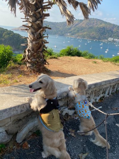 Laem Phrom Thep View Point в феврале — фото погоды (2026-02-27)