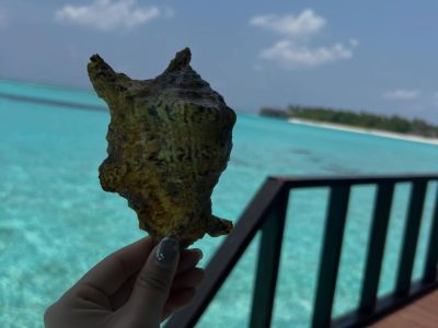 OZEN Atmosphere Maadhoo в январе — фото погоды (2026-01-20)