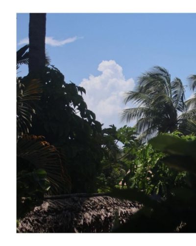 Madagaskar Nosy Be в феврале — фото погоды (2026-02-03)