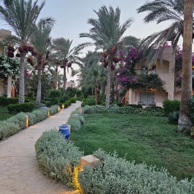 Blue Lagoon - Marsa Alam в сентябре — фото погоды (2025-09-01)