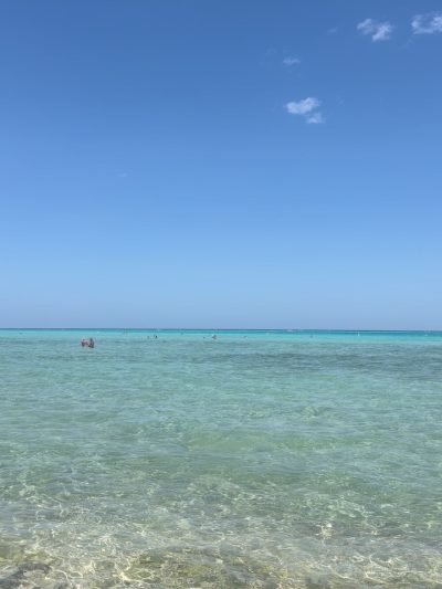 Blue Lagoon - Marsa Alam в марте — фото погоды (2026-03-28)