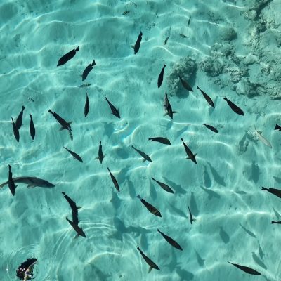 Blue Lagoon - Marsa Alam в апреле — фото погоды (2026-04-25)