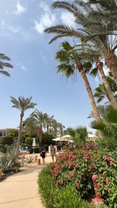 Blue Lagoon - Marsa Alam в мае — фото погоды (2026-05-23)