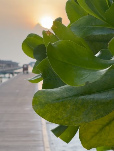 Water Villa ,Paradise Island Resort And Spa, Maldives в феврале — фото погоды (2026-02-23)