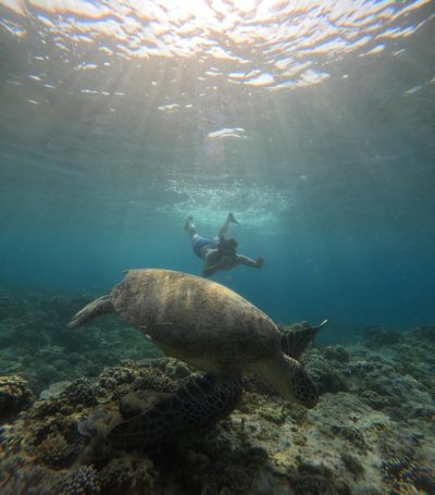 Gili Trawangan Island в сентябре — фото погоды (2025-09-26)