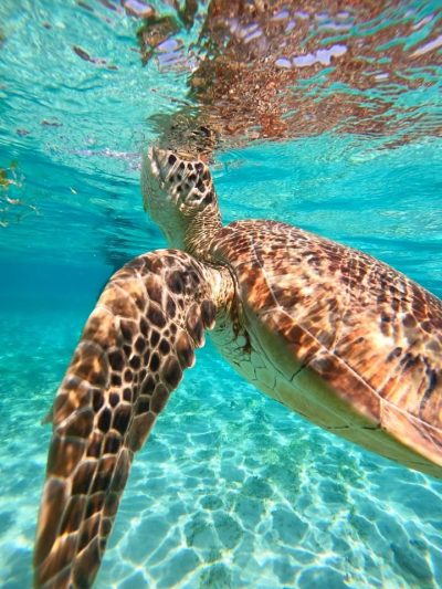 Gili Trawangan Island в октябре — фото погоды (2025-10-28)